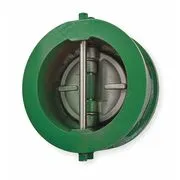 Клапан обратный чугунный Mueller Steam 3-72-IHB3H, двухдисковый, DN80, PN16