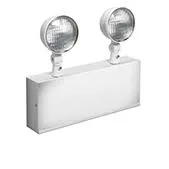 Аварийный светильник 2DM6/L9-M от LIGHTALARMS ELECTRONICS