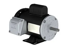 WEG Electric .3318ES1BW56-S