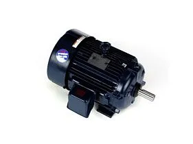 Marathon Electric 215TTFS6030