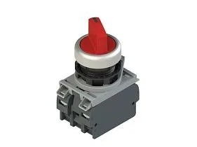 Pizzato E2 AC-DXBC2267