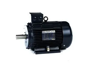 Marathon Electric R431A