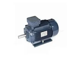 Marathon Electric R335A