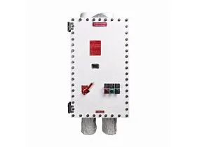 Crouse Hinds ACE-DG1-25