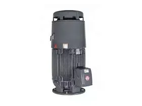 US Motors CHT200V2CLG