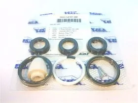 30222 Ремонтный комплект для насоса от CAT PUMPS