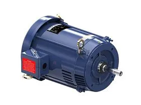 Marathon Electric E183A