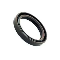 48X72X8MM OIL SEAL Уплотнение от DAEMAR INC