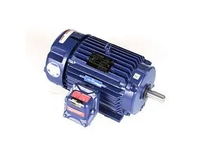 Marathon Electric 213TTGN6576