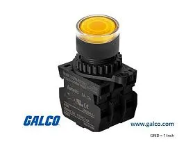 Autonics S2PR-P3Y2AD