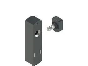 Pizzato NS L4AZ1SPK-F41