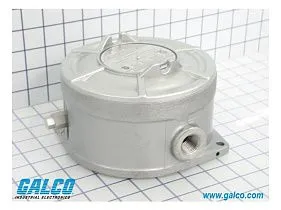 Barksdale Control Products B1X-S48SS-UL