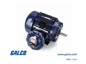 Marathon Electric E576A