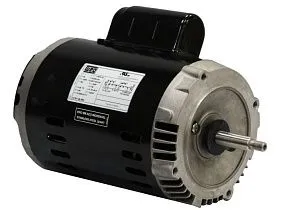 WEG Electric .3336OS1BJPRW56J-S