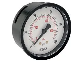 25-110-100-PSI/KPA Гидравлический регулятор давления, манометр и передатчик от NOSHOK