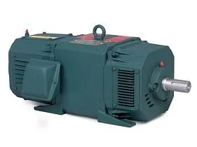 Baldor-ABB Motors D5007R