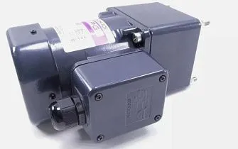 Мотор индукционный S9I60GXH-TCE SPG