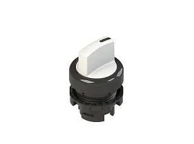 Pizzato E2 1SE13ACE21AB