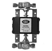 0713A5 Пневматический привод от HOKE