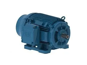 WEG Electric 10012ET3HRB444T-W22