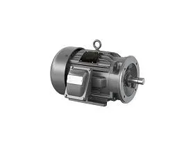 Baldor-ABB Motors CCPX18546T