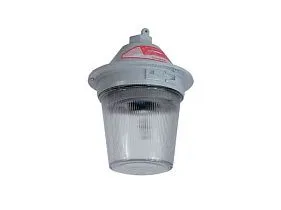 Appleton VPWBS7524PDCGR