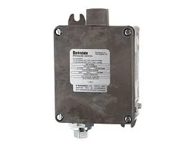 Barksdale Control Products B2T-A12SS
