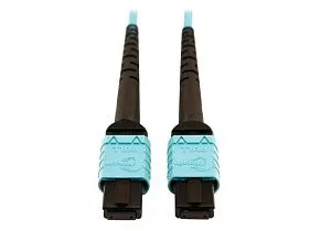 Tripp-Lite N846D-10M-24AAQ