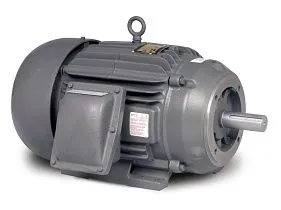 Baldor-ABB Motors CEM7174T