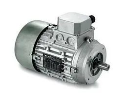 Мотор HE3 100BLA от NERI MOTORI