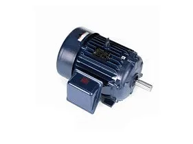 Marathon Electric E207