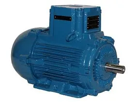 WEG Electric E03036XP3YAX200LF3-W