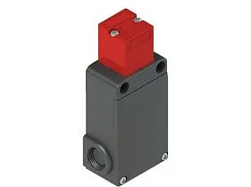 Pizzato FS 2996E024-K40