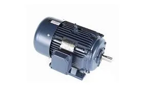 Marathon Electric E818A