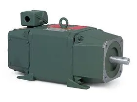 Baldor-ABB Motors D1815R