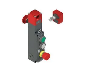 Pizzato NG 2D7D417L-F31