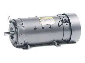 Baldor-ABB Motors D5520P