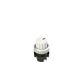 Pizzato E2 1SL43ECH29AB