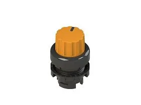 Pizzato E2 1SL42ECD81AB