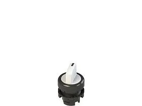 Pizzato E2 1SL12AVD21AB