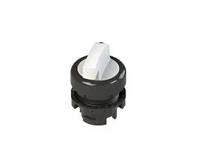 Pizzato E2 1SL22ECD21AB