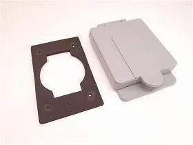 Крышка электрической розетки одинарная дуплексная Carlon E98GDR