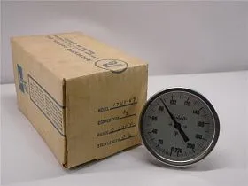 RG1350-02425 Термометр от ROCHESTER INSTRUMENT SYSTEMS