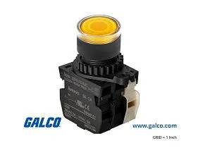 Autonics S2PR-P3YABL