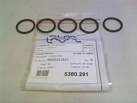 Комплект кольцевых уплотнений NBR для насоса ABB 9630031831