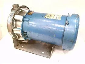 Центробежный насос Goulds NPE SS 1ST1D4E2, 0.75 HP, 115-230В