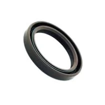 25X40X7MM OIL SEAL Уплотнение от DAEMAR INC