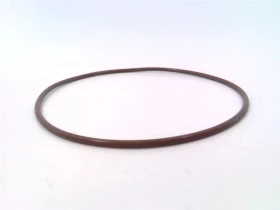 Уплотнительное кольцо V70039 Viton для корпуса Waukesha