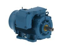 WEG Electric 12509ST3QIE447T-W22