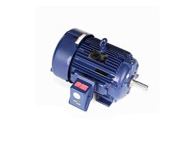 Marathon Electric 256THFNA9076